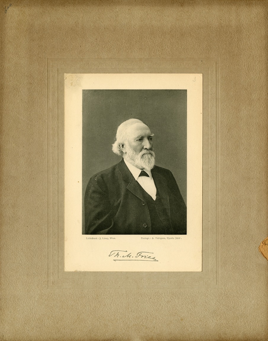 Theodor Magnus Fries